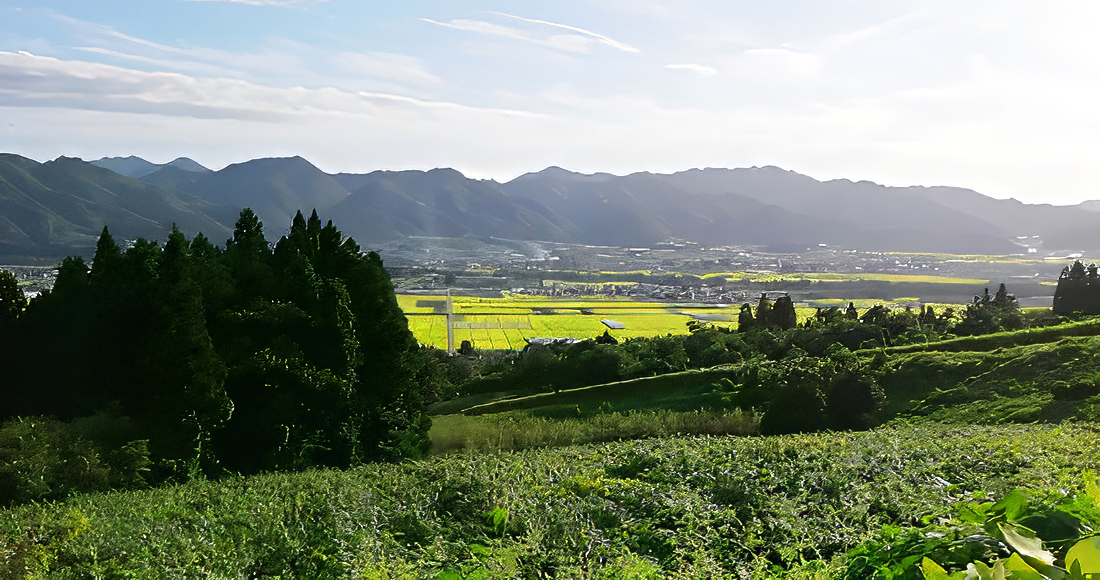 山形県かみのやま